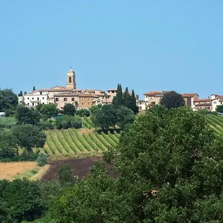 La Collina Degli Olivi * Spina