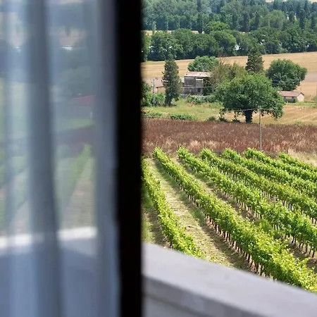 La Collina Degli Olivi Appartement *
