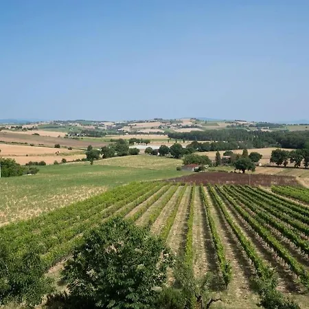 La Collina Degli Olivi * Spina