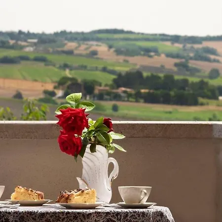 La Collina Degli Olivi Spina